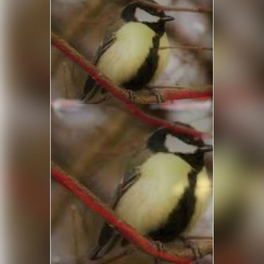 Αγάπη δίχως άκρη