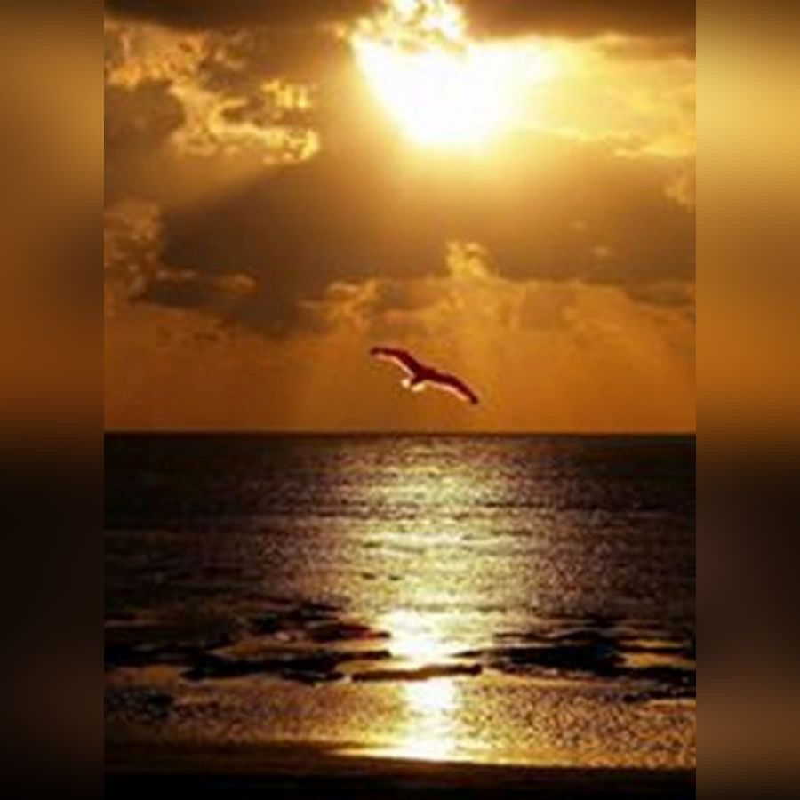 Ιχνογράφημα